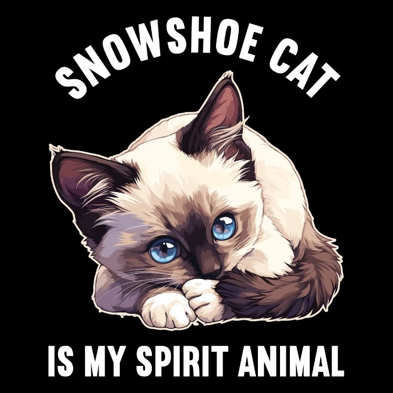 Snowshoe Kitten Snowshoe Cat