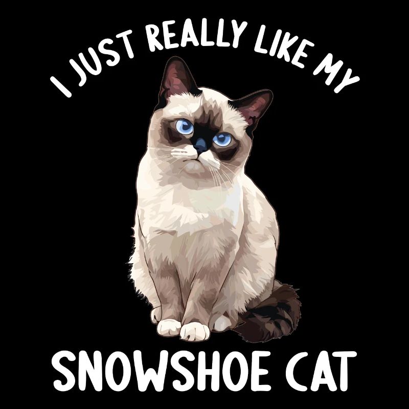 Snowshoe Kitten Snowshoe Cat