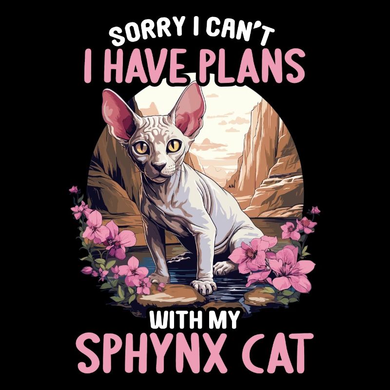 Sphynx Kitten Sphynx Cat