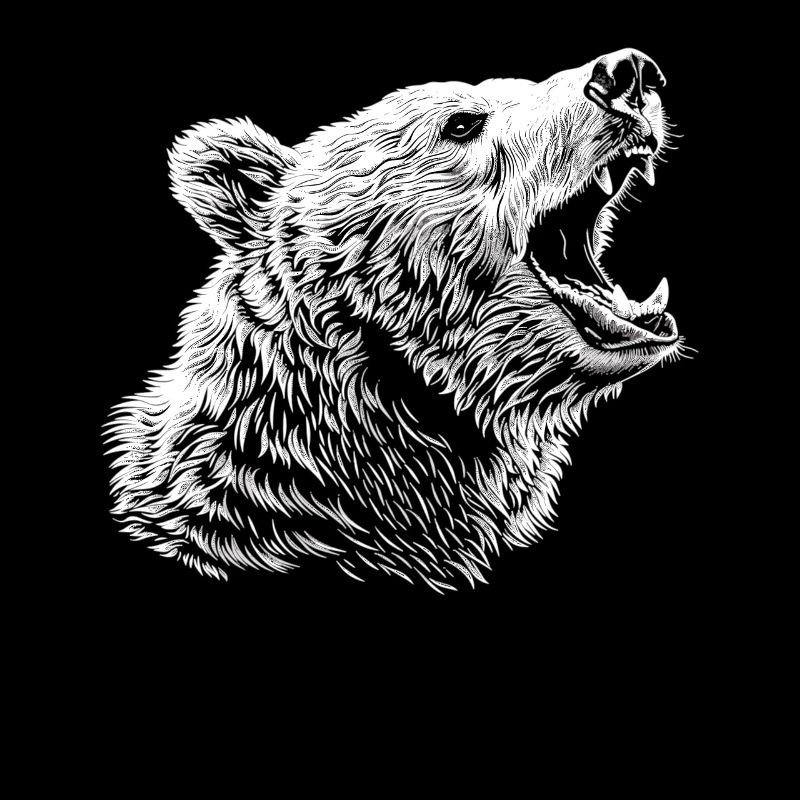 Bear Bären Bär