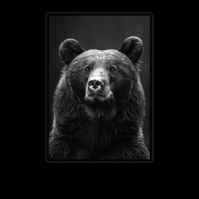 Bear Bären Bär