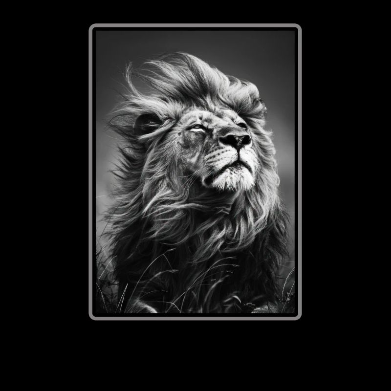 Lion Löwen Löwe