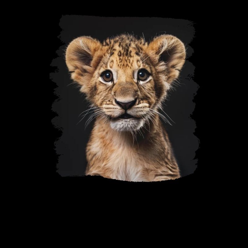 Lion Löwen Löwe