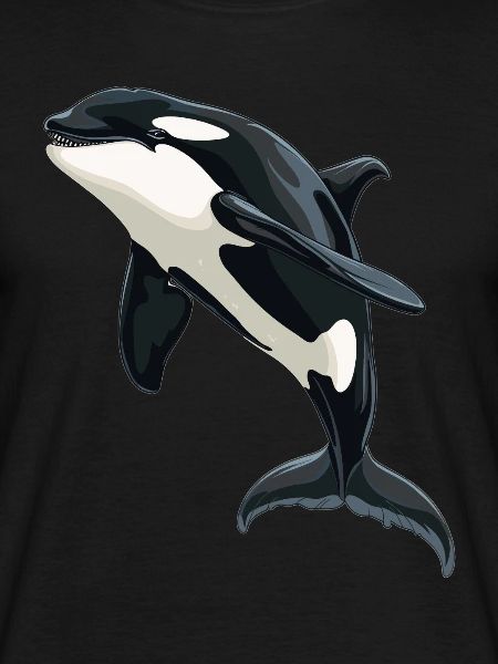 Orcas Orca