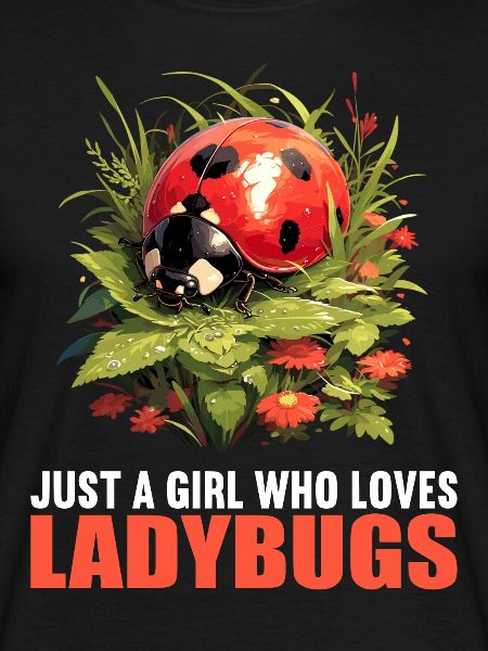 Ladybug Marienkäfer