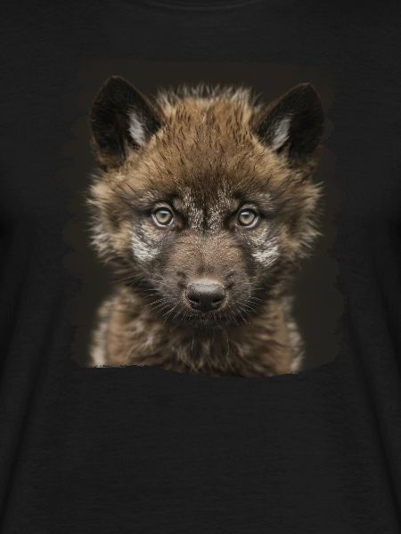 Wolves Wolf