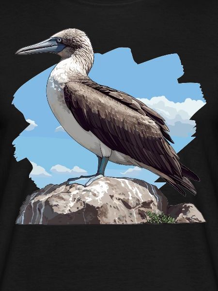 Blue-footed booby