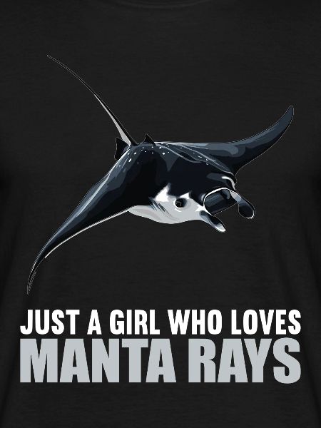 Manta Rays Manta Rays