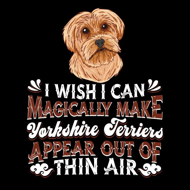 Yorkshire Terrier Hund