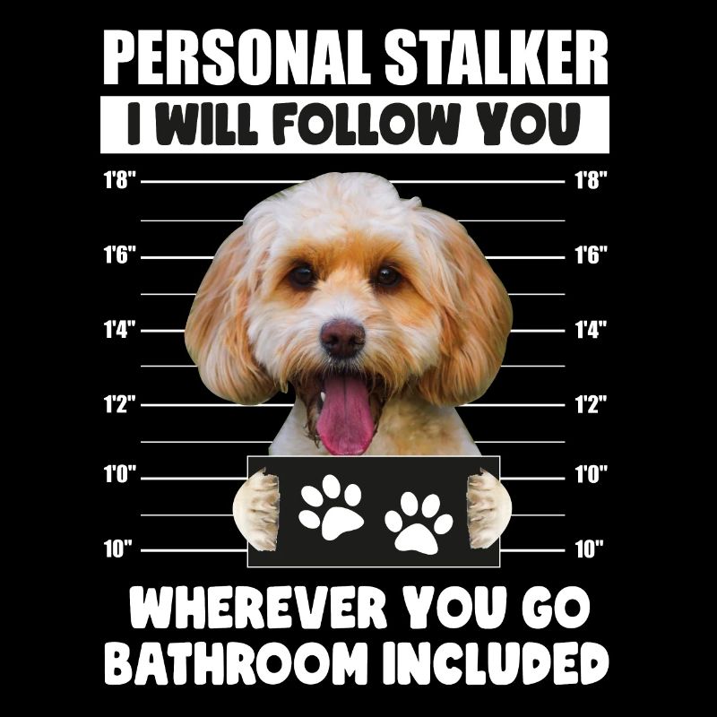 Persönliches Stalker Dog, Cockapoo, Puppy Lover Geschenk