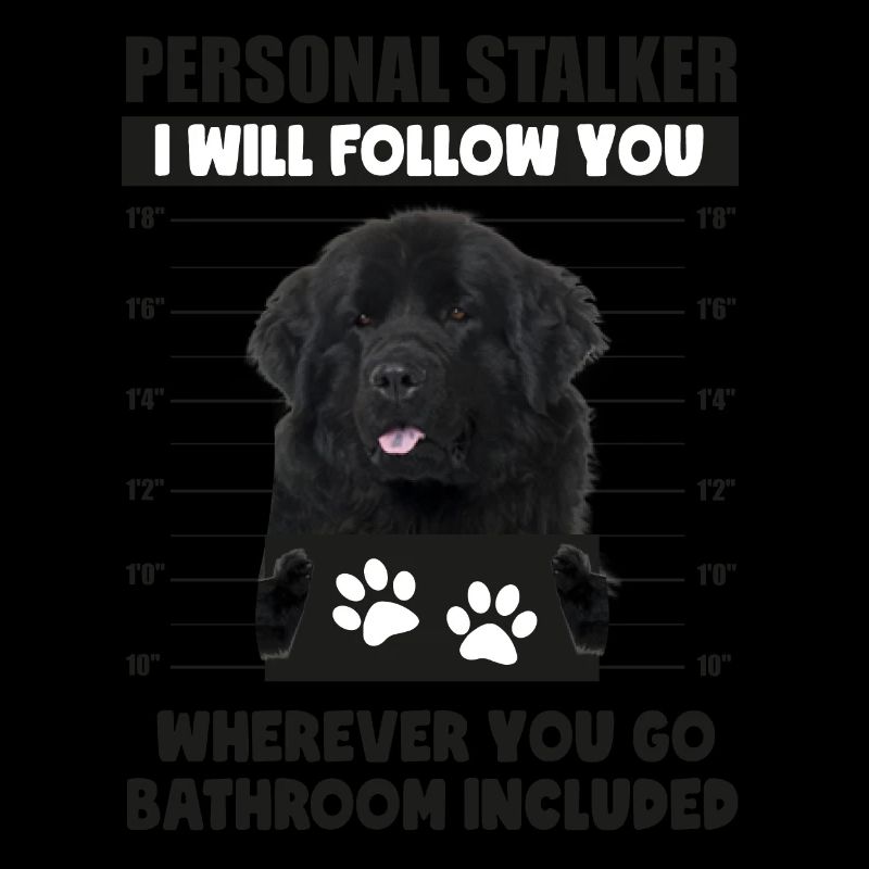 Persönlicher Stalker-Hund, Flat Coated Retriever, Geschenk
