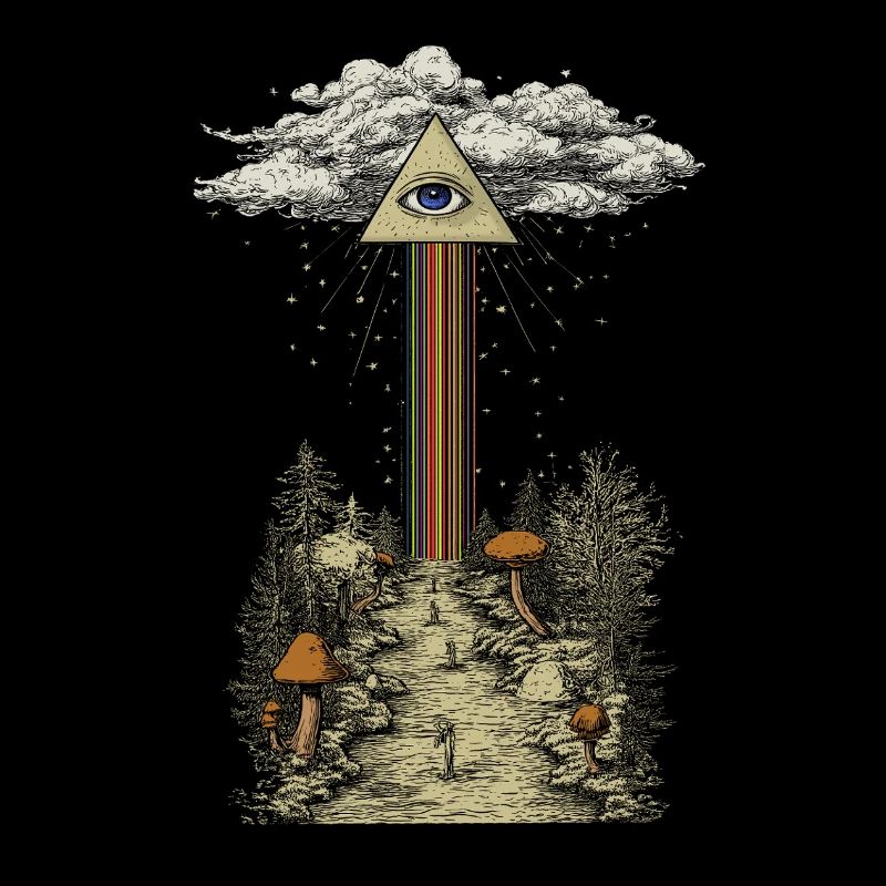 Rayon arc-en-ciel mystique dans la forêt de champignons