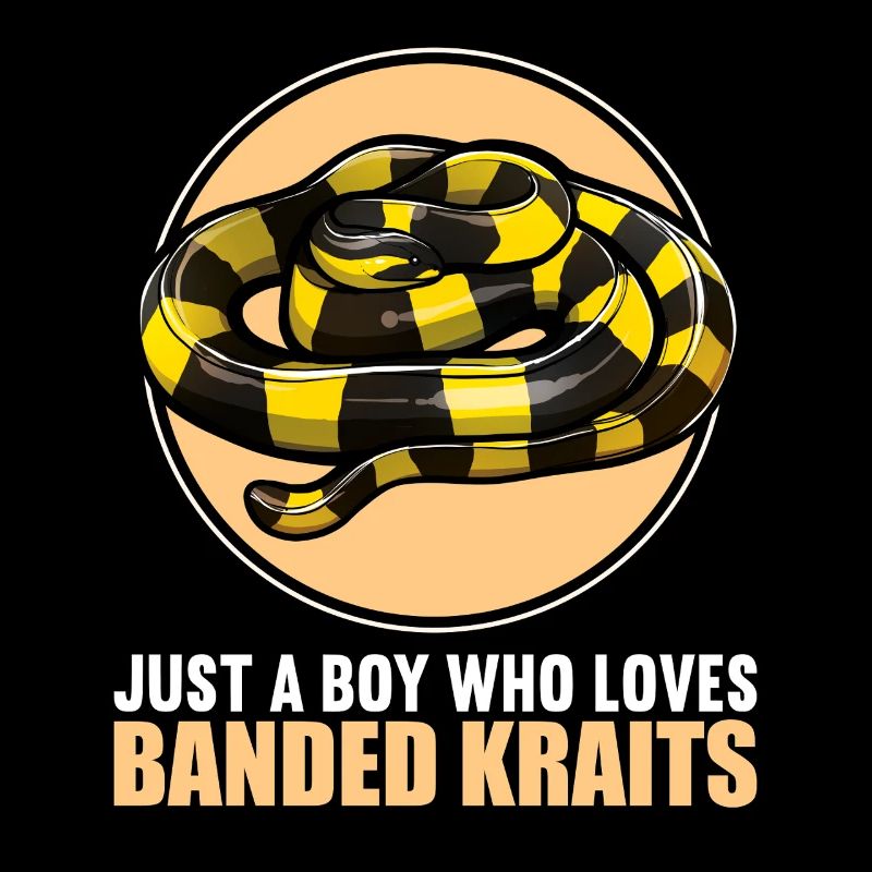 Banded Krait Gebänderter Krait