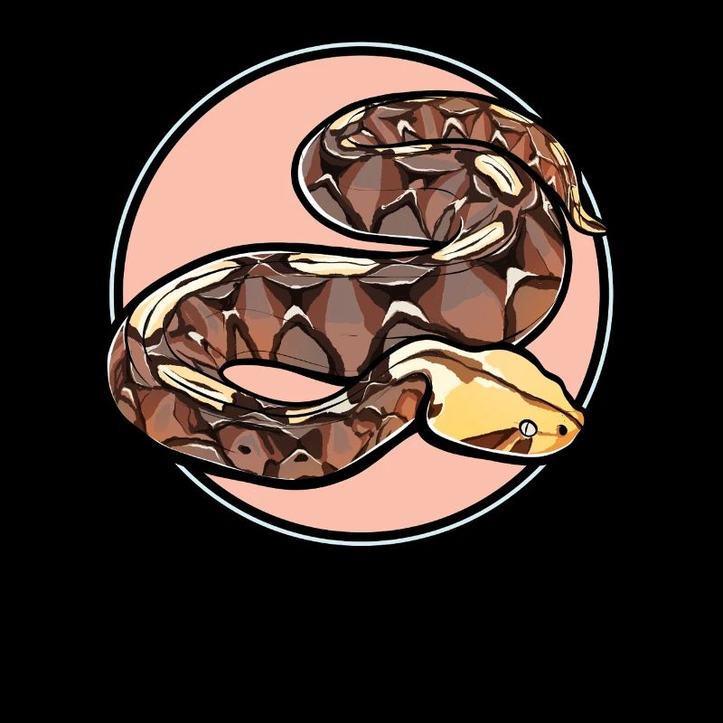 Gabon Vipers Gabon Vipers