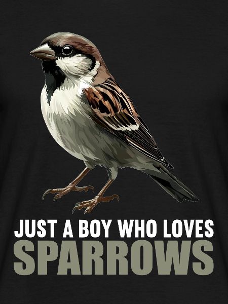 Sparrows Sparrow