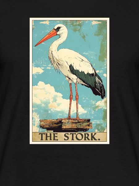Storks Stork