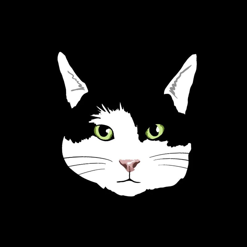 chat noir et blanc