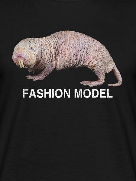 Nude mole mole animal