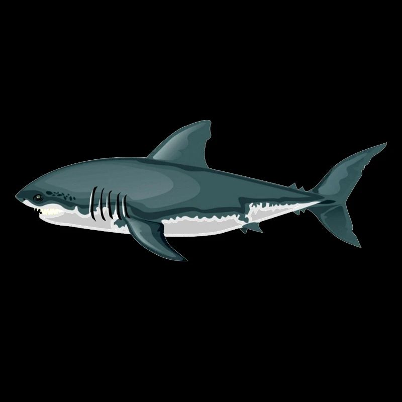 Haifisch