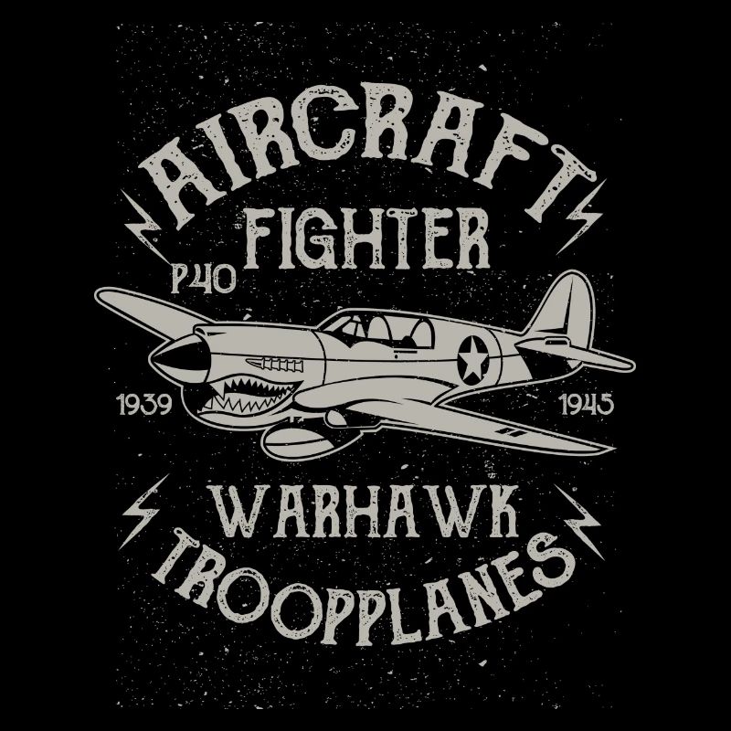 Warhawk Flugzeug Flieger