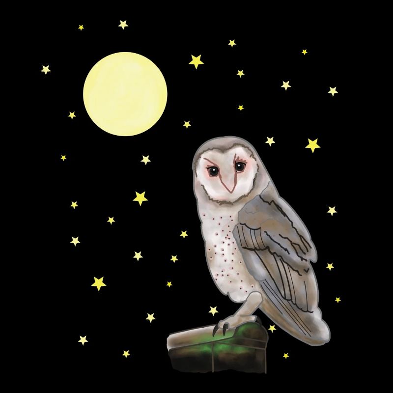 Eule, Mond, Sterne