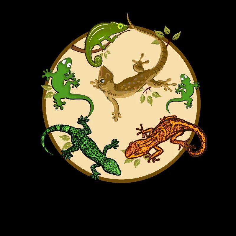Gecko lizard
