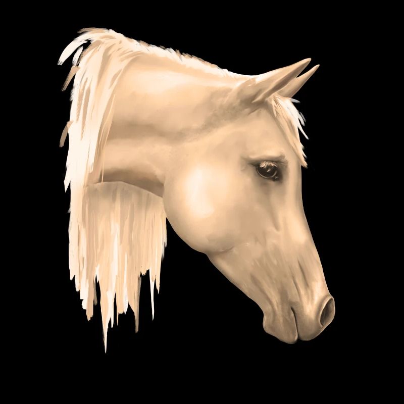 Motif de cheval