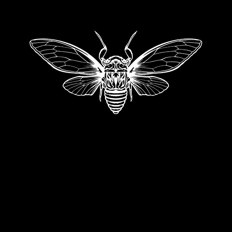 Cicada Cicada Brut Insect