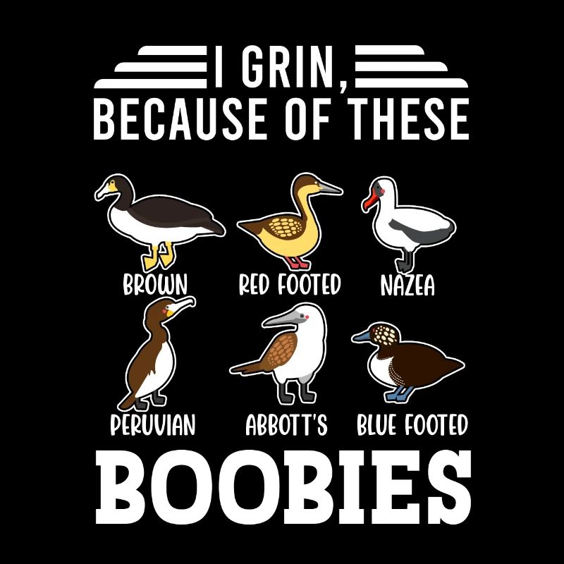 Funny Booby Seabirds Collection