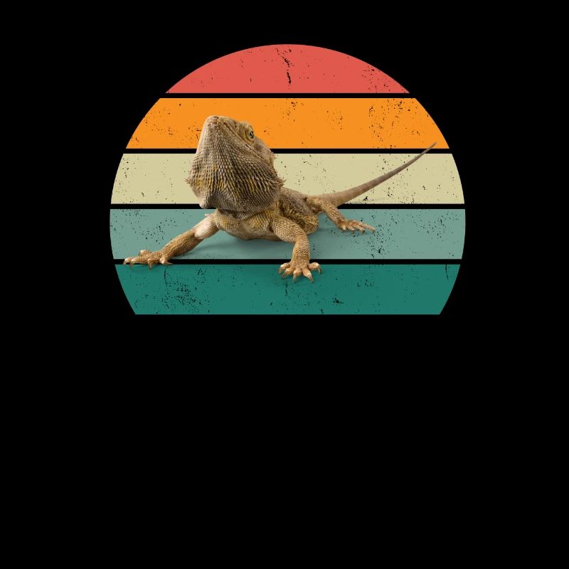 Lizard Lizards Cold-blooded scales Reptiles
