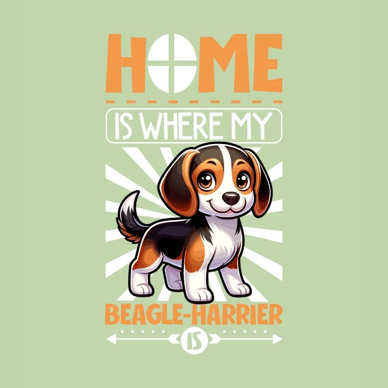Zuhause - Beagle-Harrier