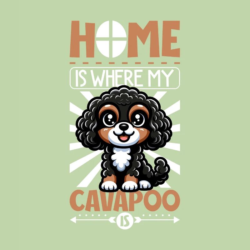 Zuhause - Cavapoo