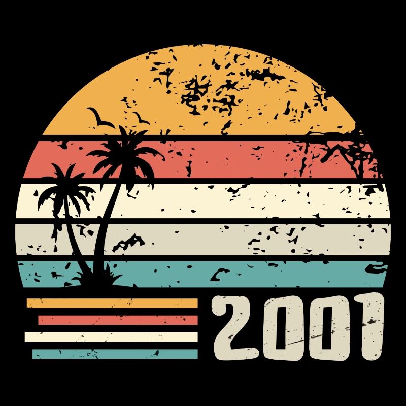 2001 Birthday Gift - Made in 2001 Retro 2001