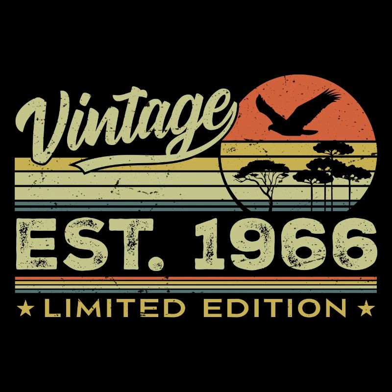 Vintage 1966 Awesome Since 1966 Gift 1966 Retro