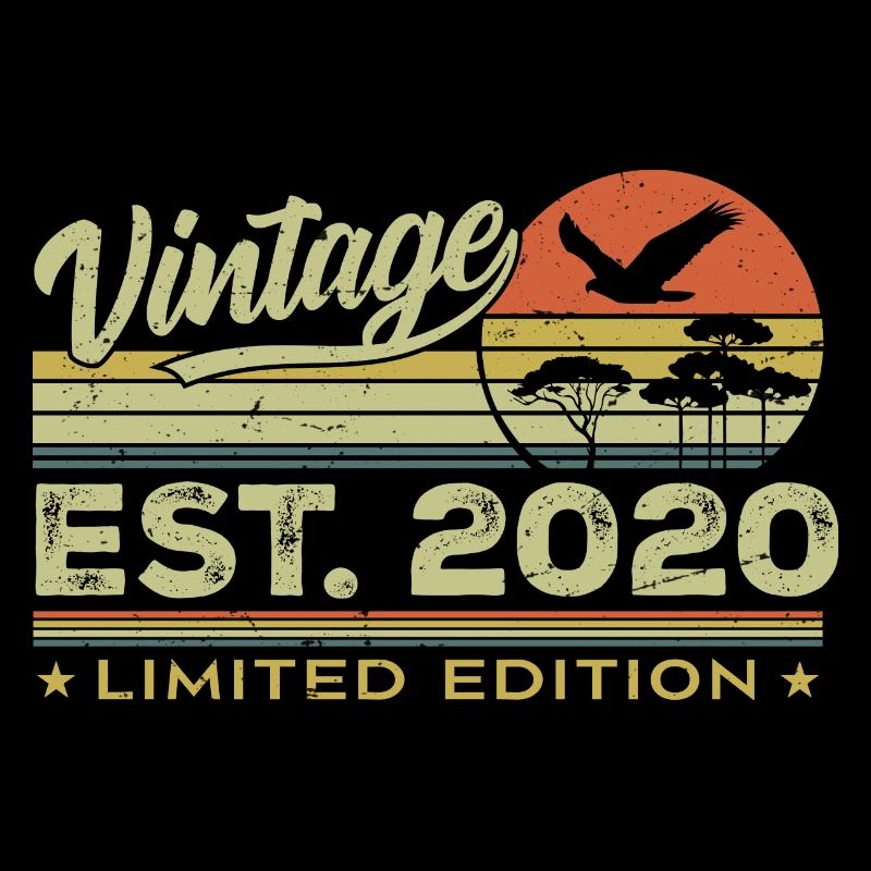 Vintage 2020 Awesome Since 2020 Gift 2020 Retro