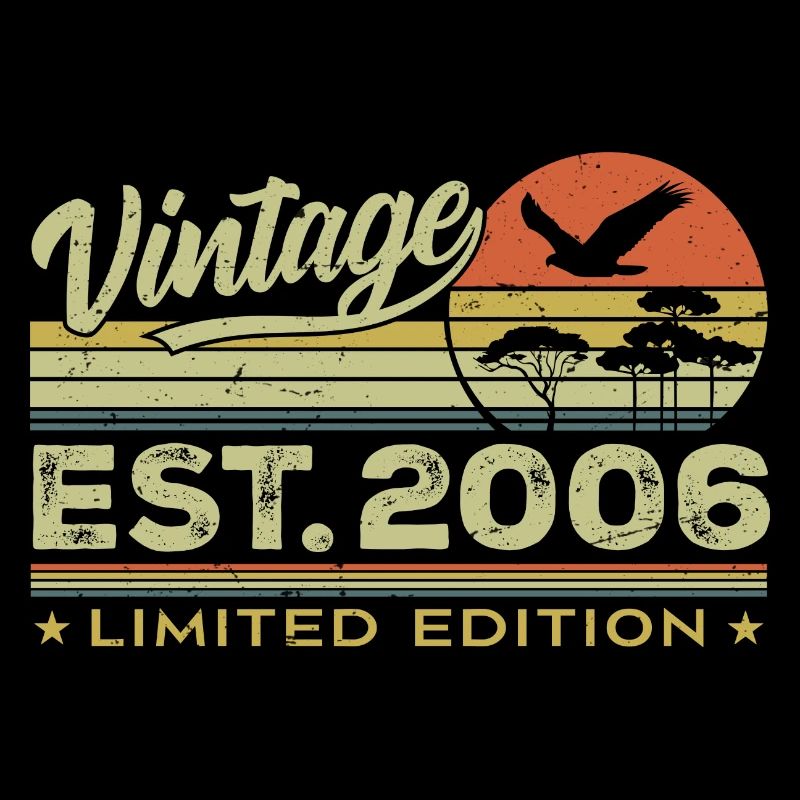 Vintage 2006 Awesome Since 2006 Gift 2006 Retro