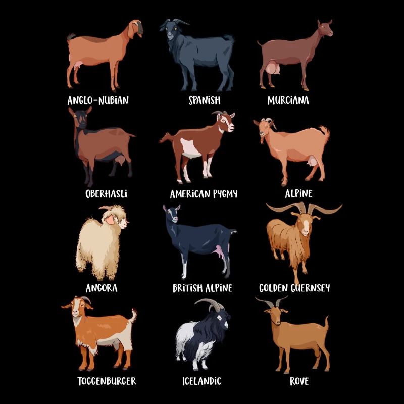 Assorted Kawaii Goats