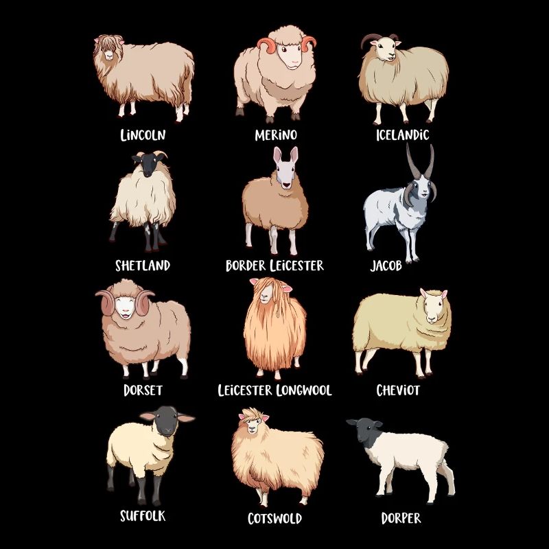Assortiment de moutons kawaii