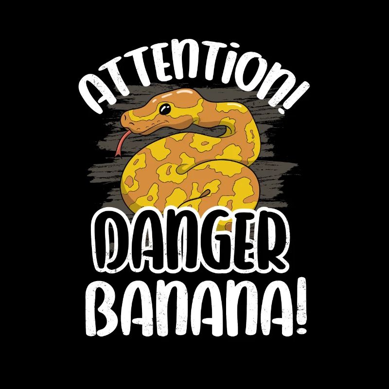Banana Ball Python Herpétologiste Attention Danger