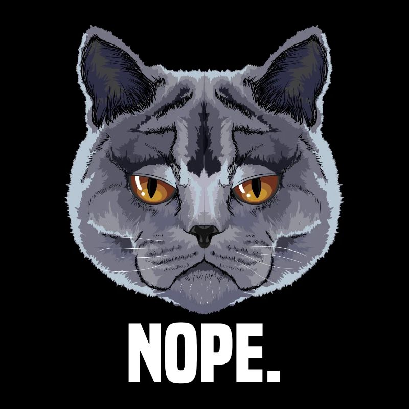 grumpy british shorthair cat cat lover