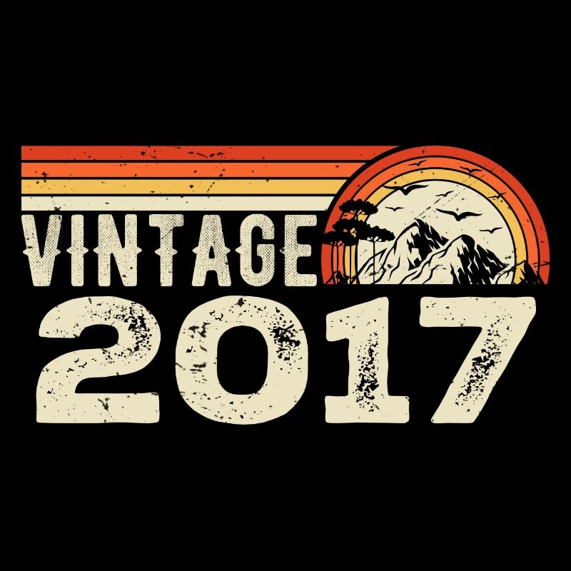 Vintage 2017 Cadeau Anniversaire 2017 Rétro 2017