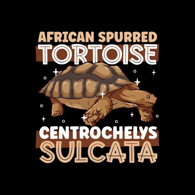 tortue éperonnée