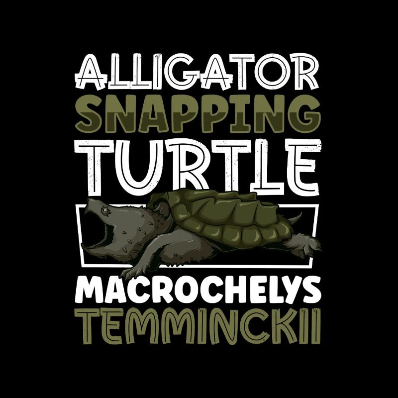 Alligator turtle