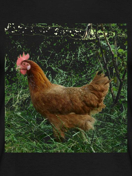 Poulet