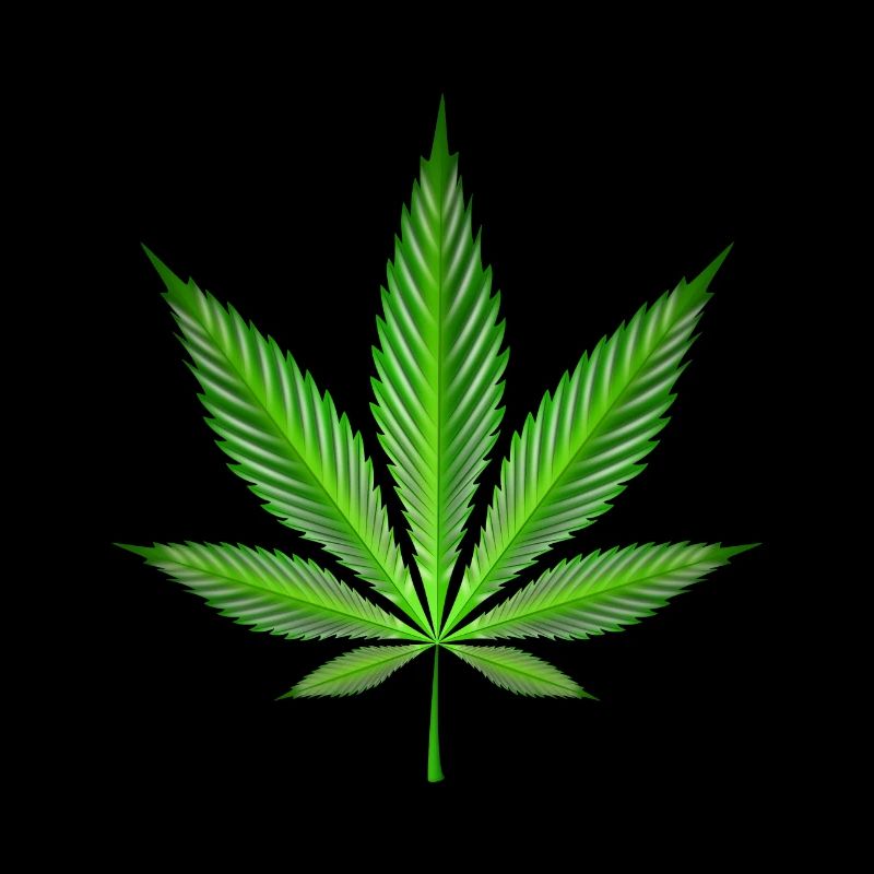 Cannabis leaf