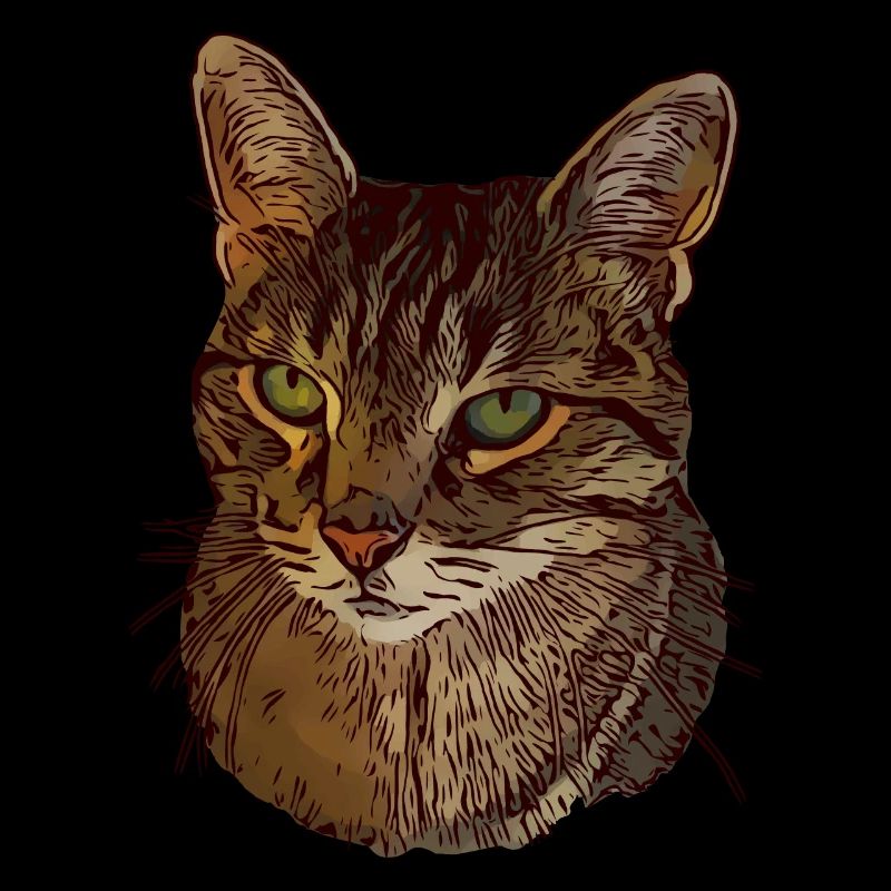 Chat motif chat Visage de chat Animal