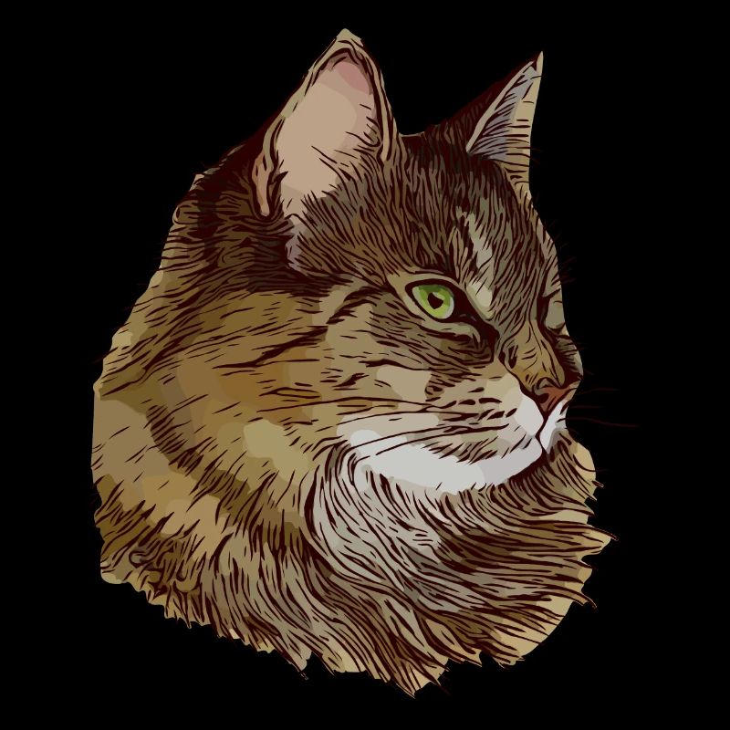 Chat motif chat Visage de chat Animal