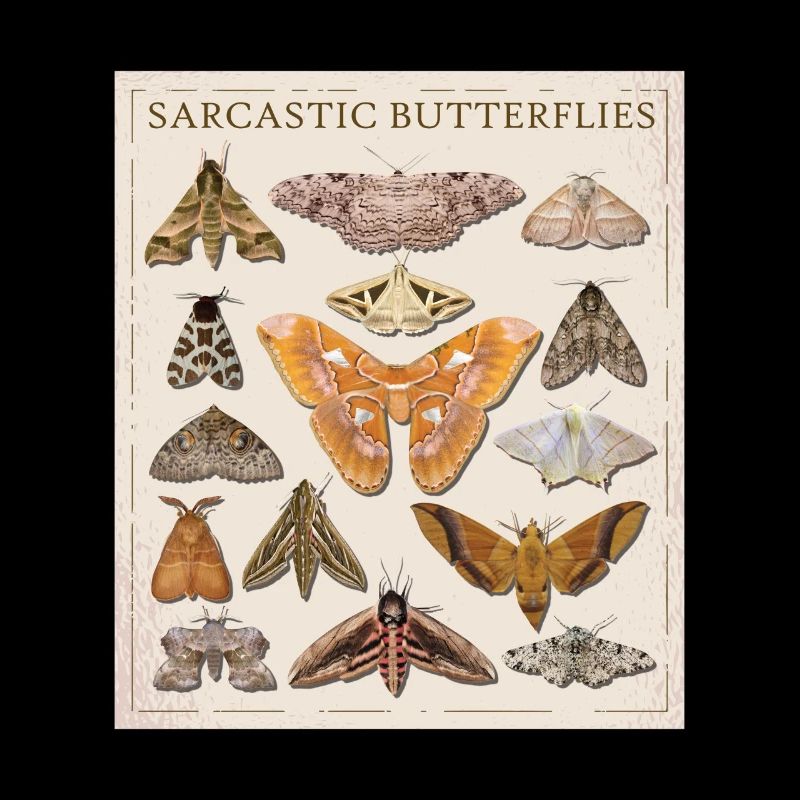 Catalogue The Sarcastic Butterfly Moth