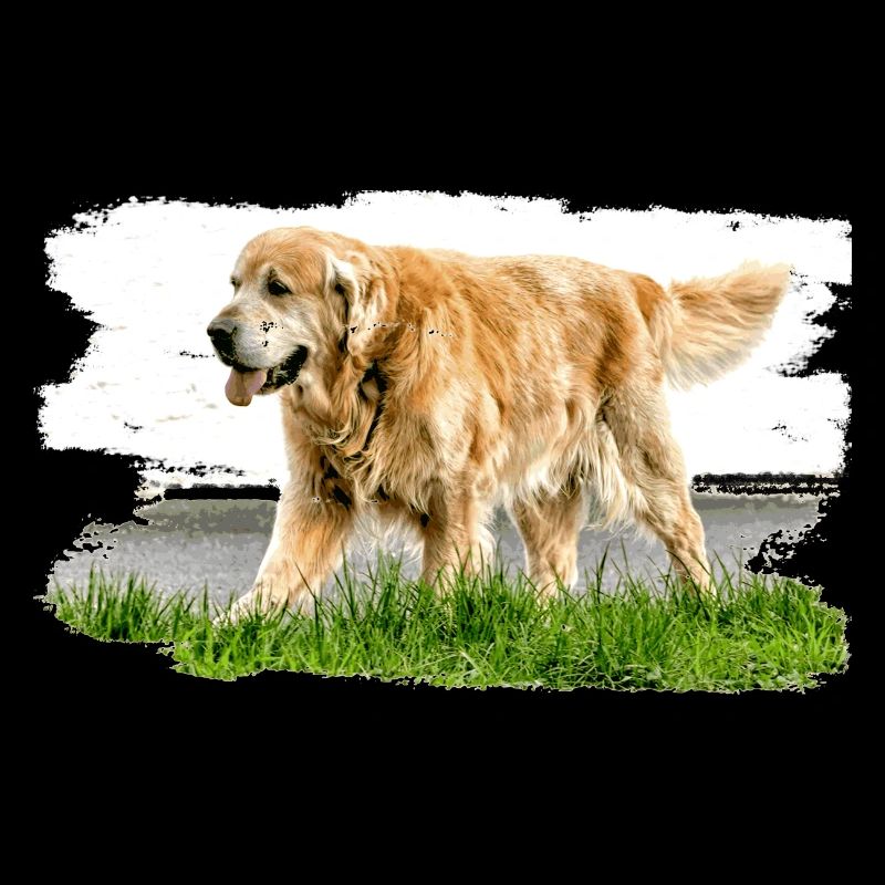 Golden Retriever a un tempérament affligé
