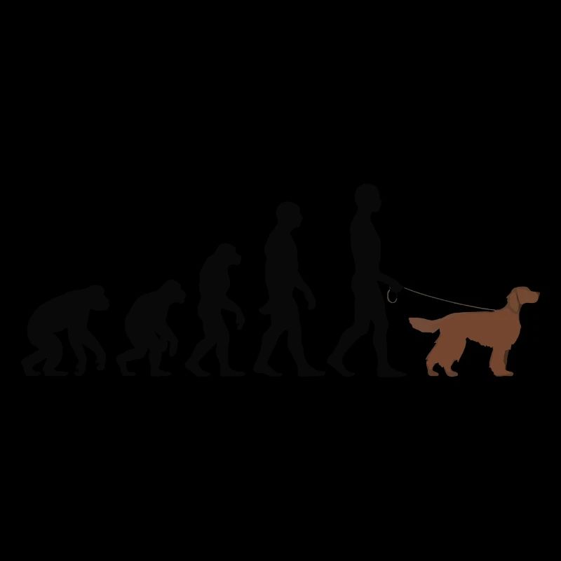 Irish Setter